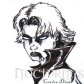 Ascelli NightStar